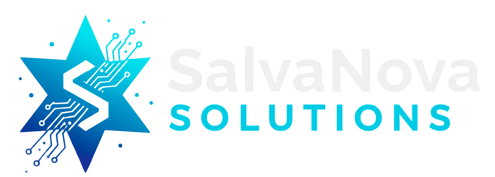 SalvaNovaSolutions Logo